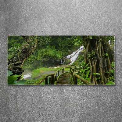 Tableau en acrylique Chute d'eau dans la jungle