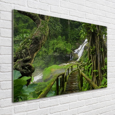 Tableau en acrylique Chute d'eau dans la jungle