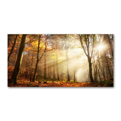 Tableau sur verre acrylique Le brouillard dans la forêt