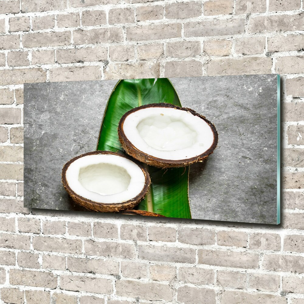 Acrylique tableau Moitié de noix de coco