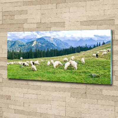 Tableau verre acrylique Mouton dans les Tatras