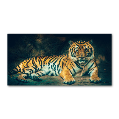 Acrylique tableau Tigre dans une grotte