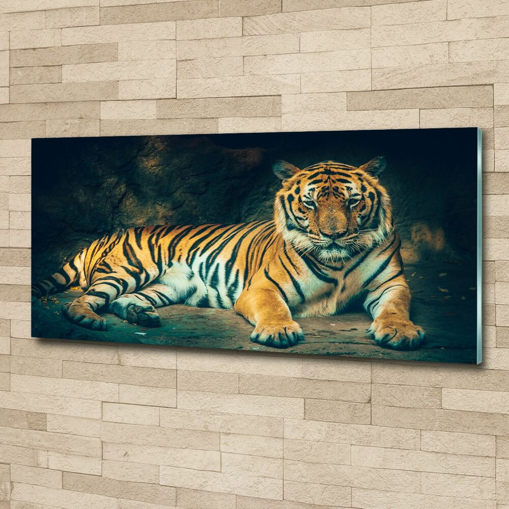 Acrylique tableau Tigre dans une grotte