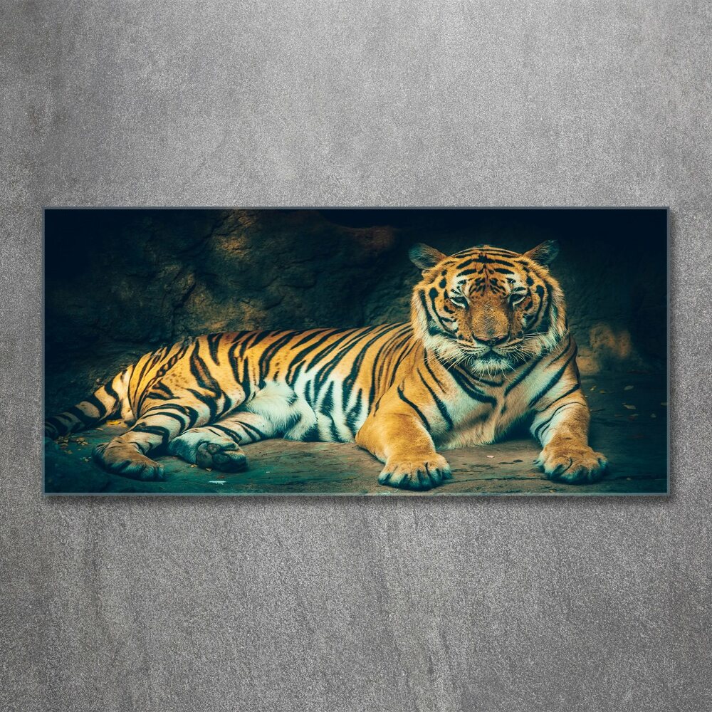 Acrylique tableau Tigre dans une grotte