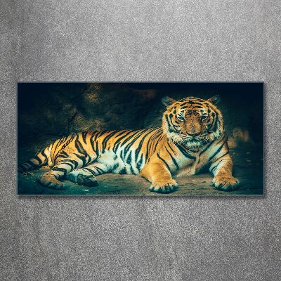 Acrylique tableau Tigre dans une grotte