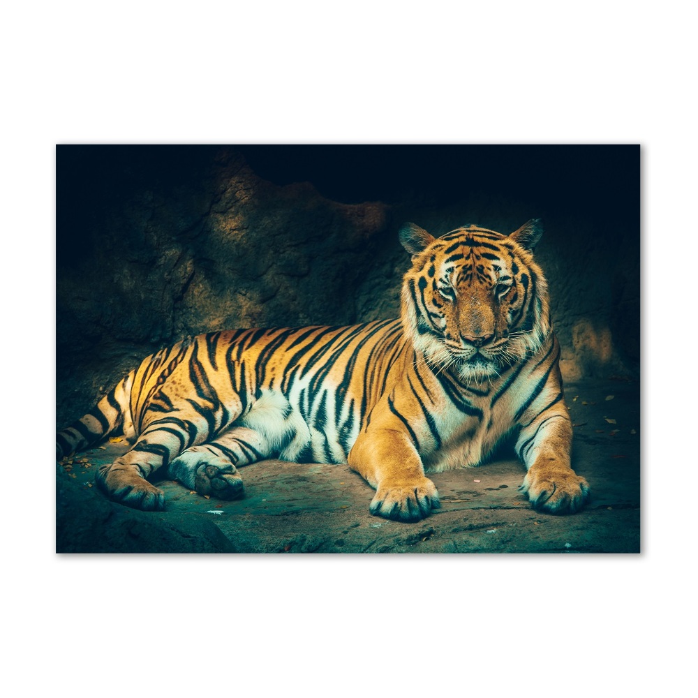 Acrylique tableau Tigre dans une grotte