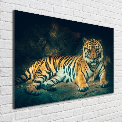 Acrylique tableau Tigre dans une grotte