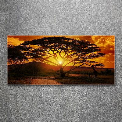 Tableau verre acrylique Afrique de l'Ouest