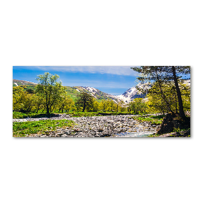 Acrylique tableau Rivière dans les montagnes