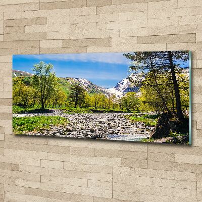 Acrylique tableau Rivière dans les montagnes