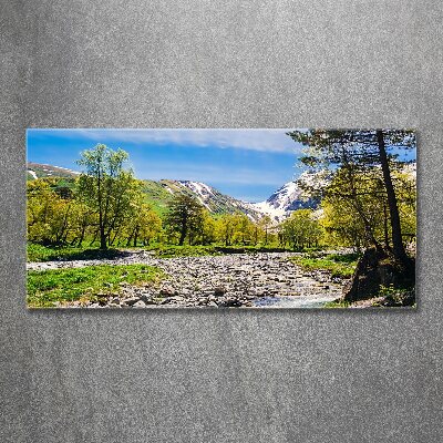 Acrylique tableau Rivière dans les montagnes