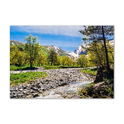 Acrylique tableau Rivière dans les montagnes