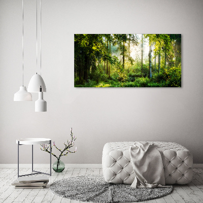 Tableau sur verre acrylique Forêt au soleil du matin