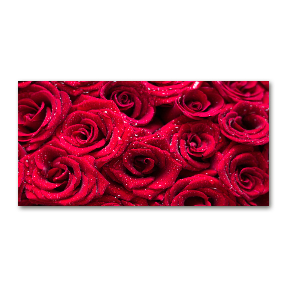 Tableau sur verre acrylique Gouttes sur roses