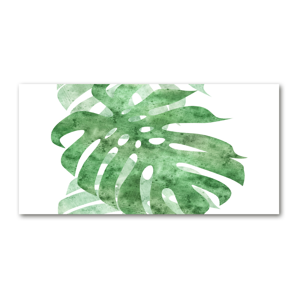 Tableau verre acrylique Monstera