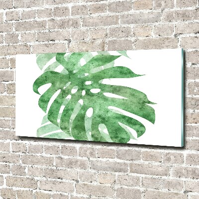 Tableau verre acrylique Monstera