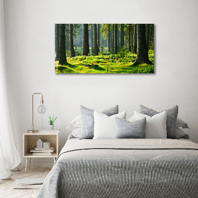 Tableau en acrylique Forêt d'épicéas