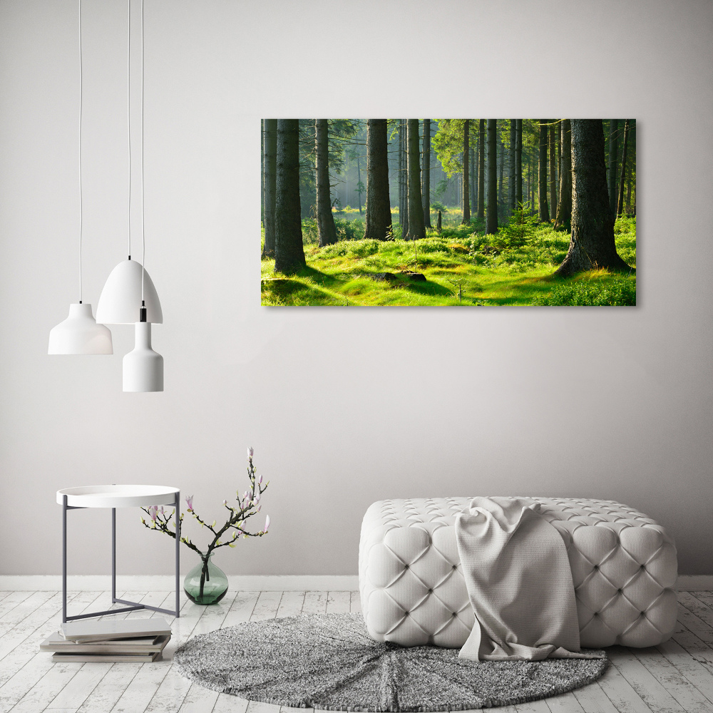 Tableau en acrylique Forêt d'épicéas