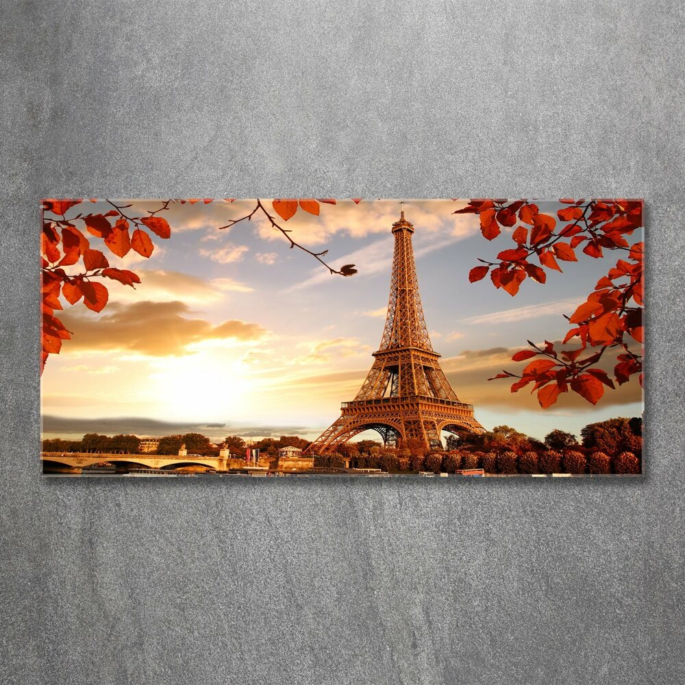 Tableau verre acrylique Tour Eiffel Paris France