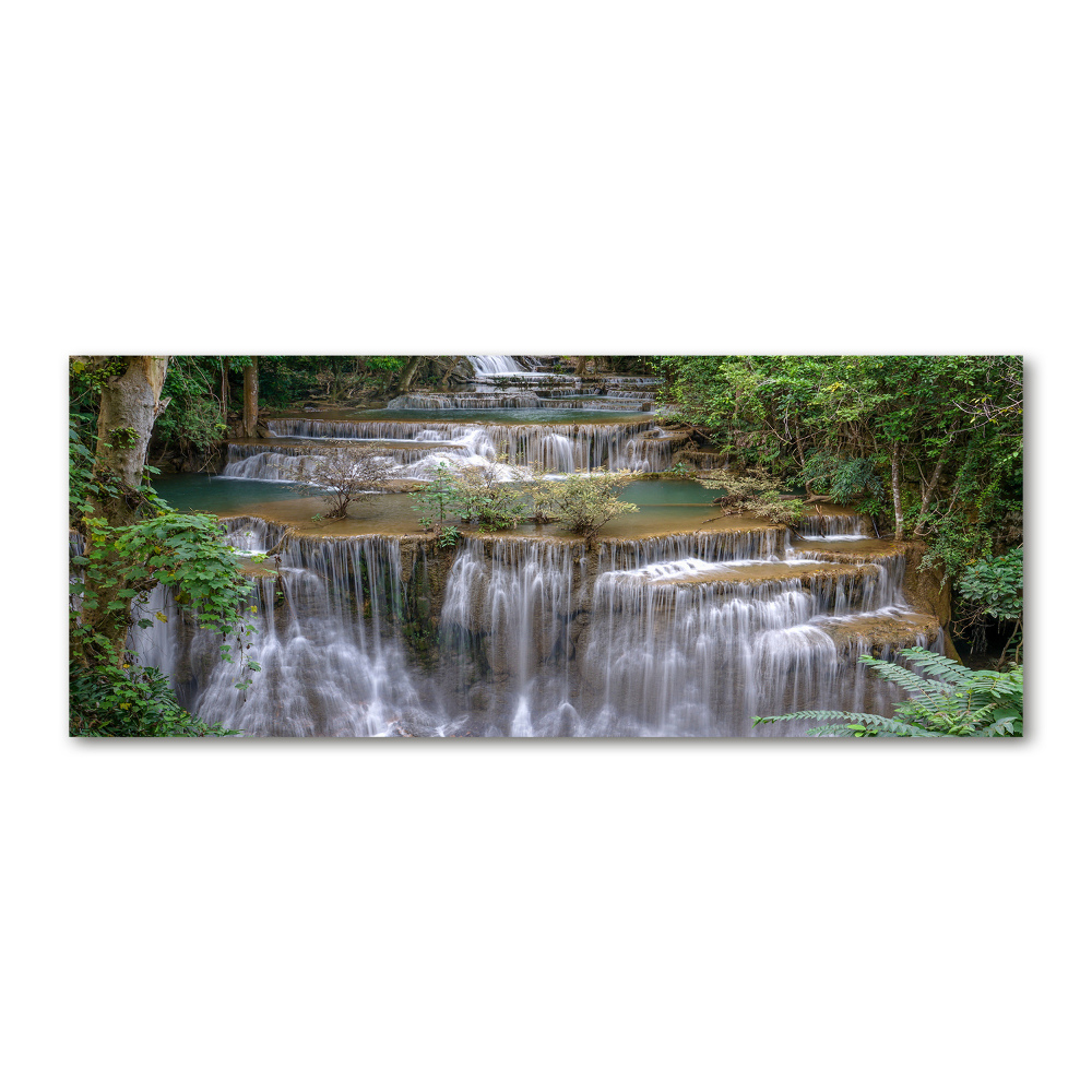 Tableau verre acrylique Cascade dans la forêt