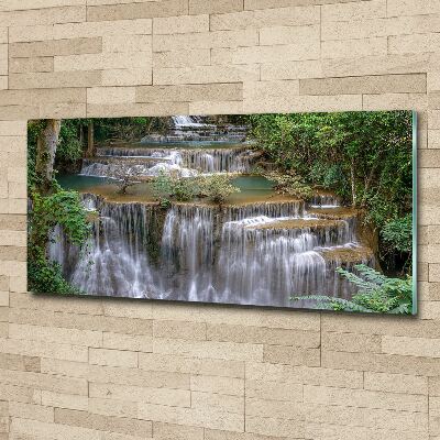 Tableau verre acrylique Cascade dans la forêt