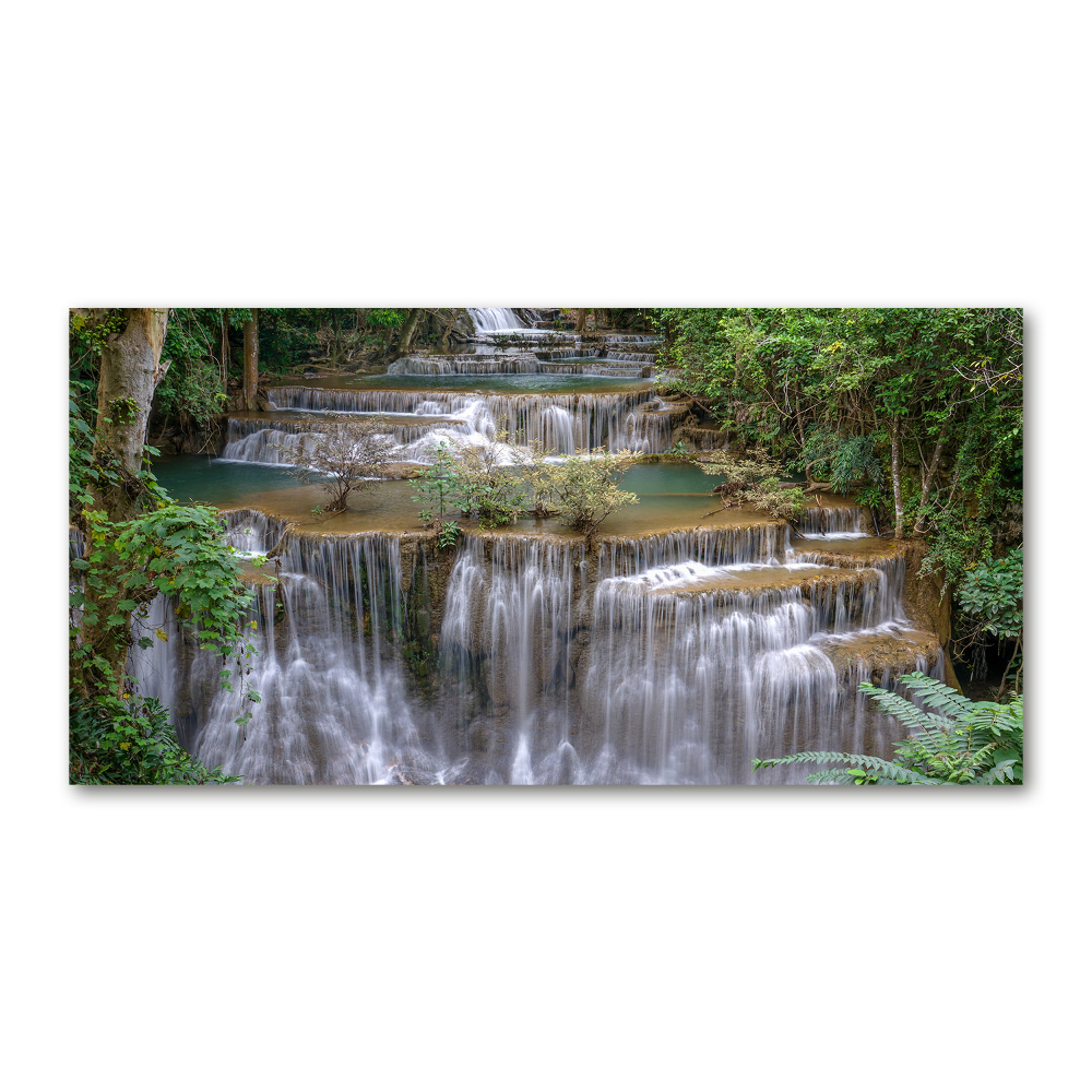 Tableau verre acrylique Cascade dans la forêt