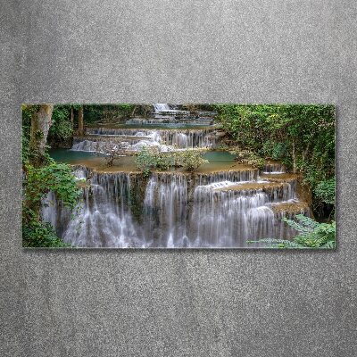 Tableau verre acrylique Cascade dans la forêt