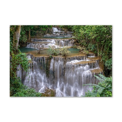 Tableau verre acrylique Cascade dans la forêt