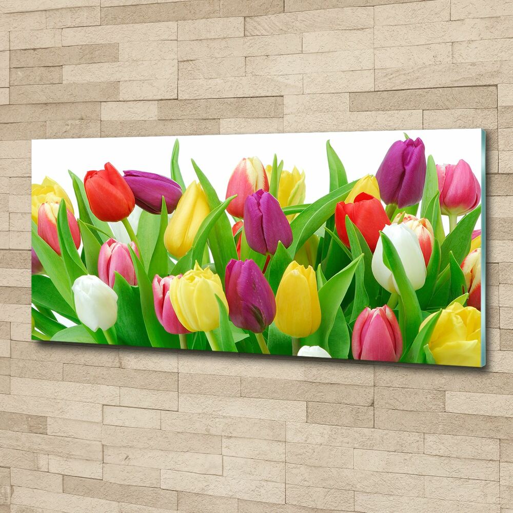 Tableau sur verre acrylique Tulipes colorées