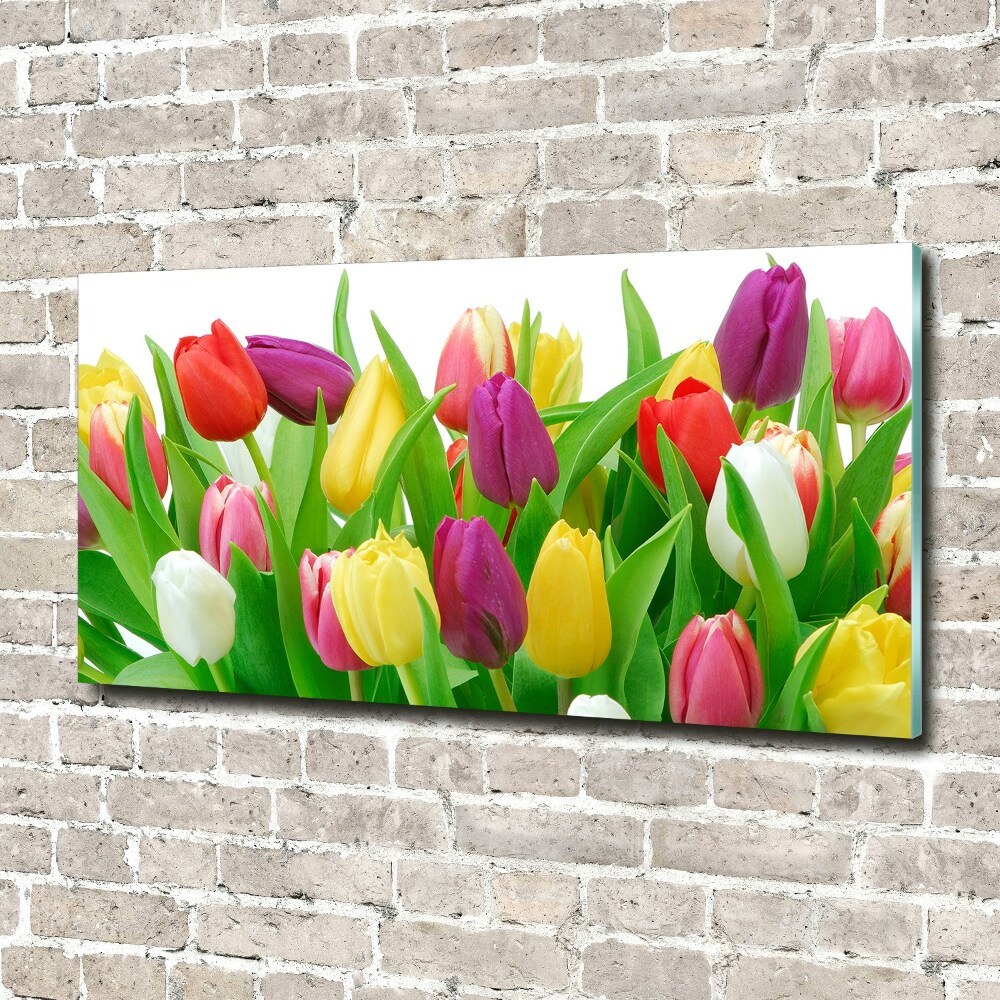 Tableau sur verre acrylique Tulipes colorées