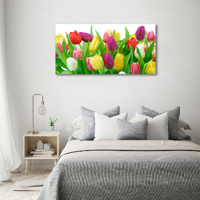 Tableau sur verre acrylique Tulipes colorées