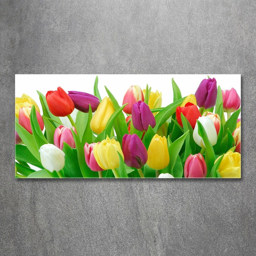 Tableau sur verre acrylique Tulipes colorées