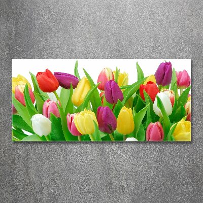 Tableau sur verre acrylique Tulipes colorées