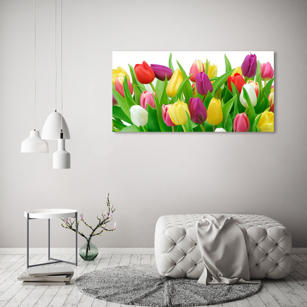 Tableau sur verre acrylique Tulipes colorées