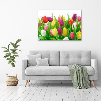 Tableau sur verre acrylique Tulipes colorées