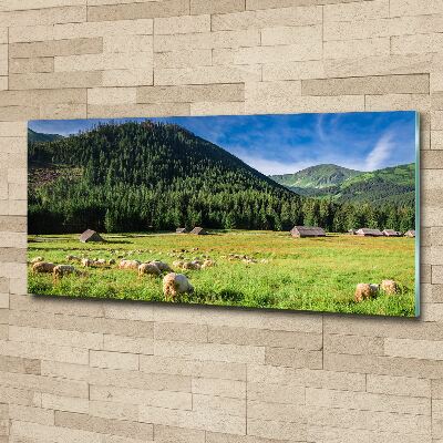 Tableau sur verre acrylique Mouton dans les Tatras