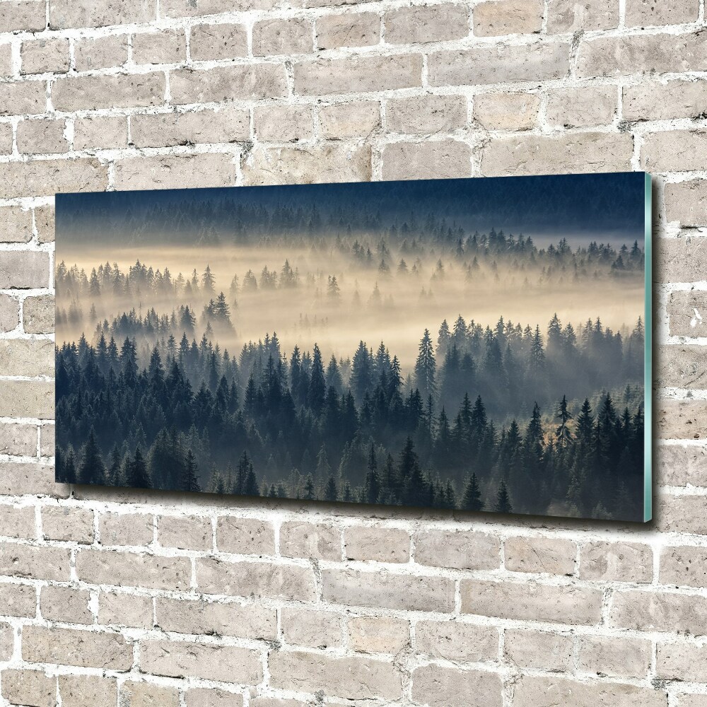 Tableau verre acrylique Brouillard sur la forêt