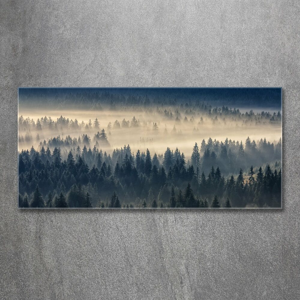 Tableau verre acrylique Brouillard sur la forêt