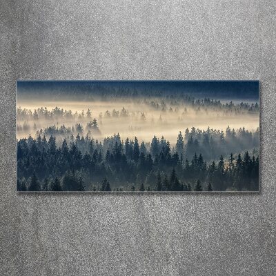 Tableau verre acrylique Brouillard sur la forêt