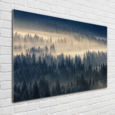 Tableau verre acrylique Brouillard sur la forêt