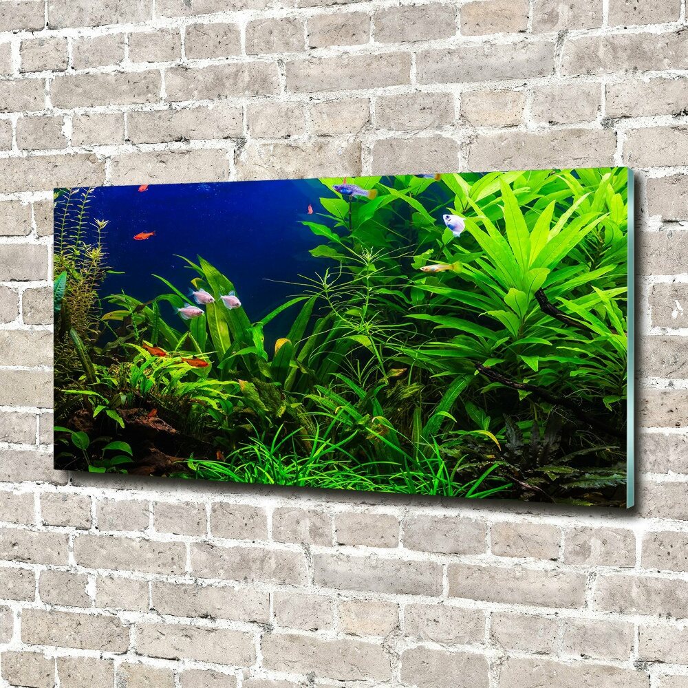 Tableau en acrylique Poissons dans un aquarium