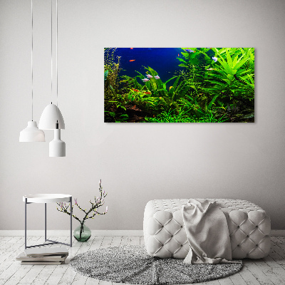 Tableau en acrylique Poissons dans un aquarium