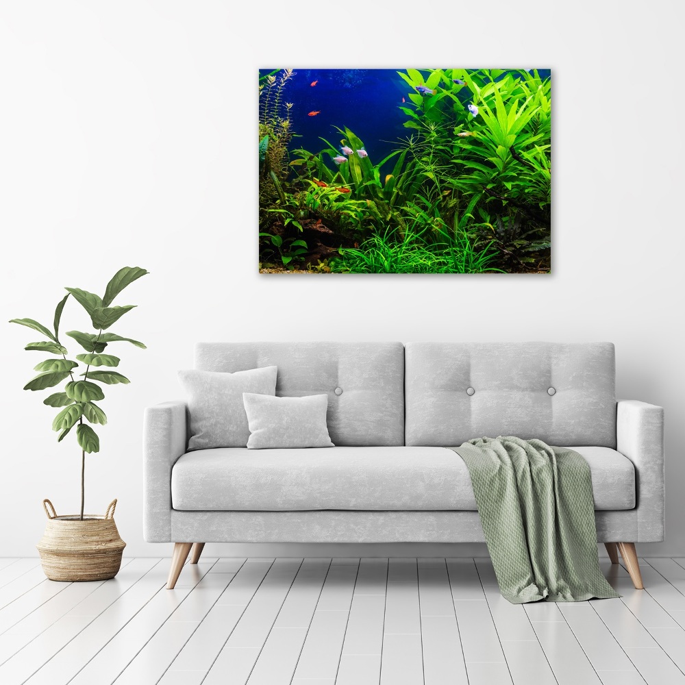 Tableau en acrylique Poissons dans un aquarium