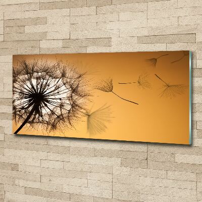 Tableau verre acrylique Gonflables