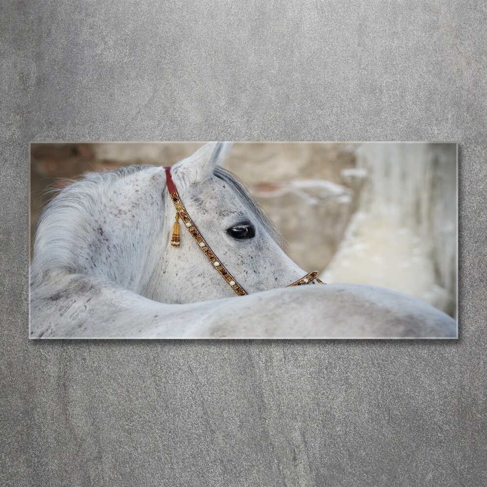 Tableau acrylique Cheval arabe blanc