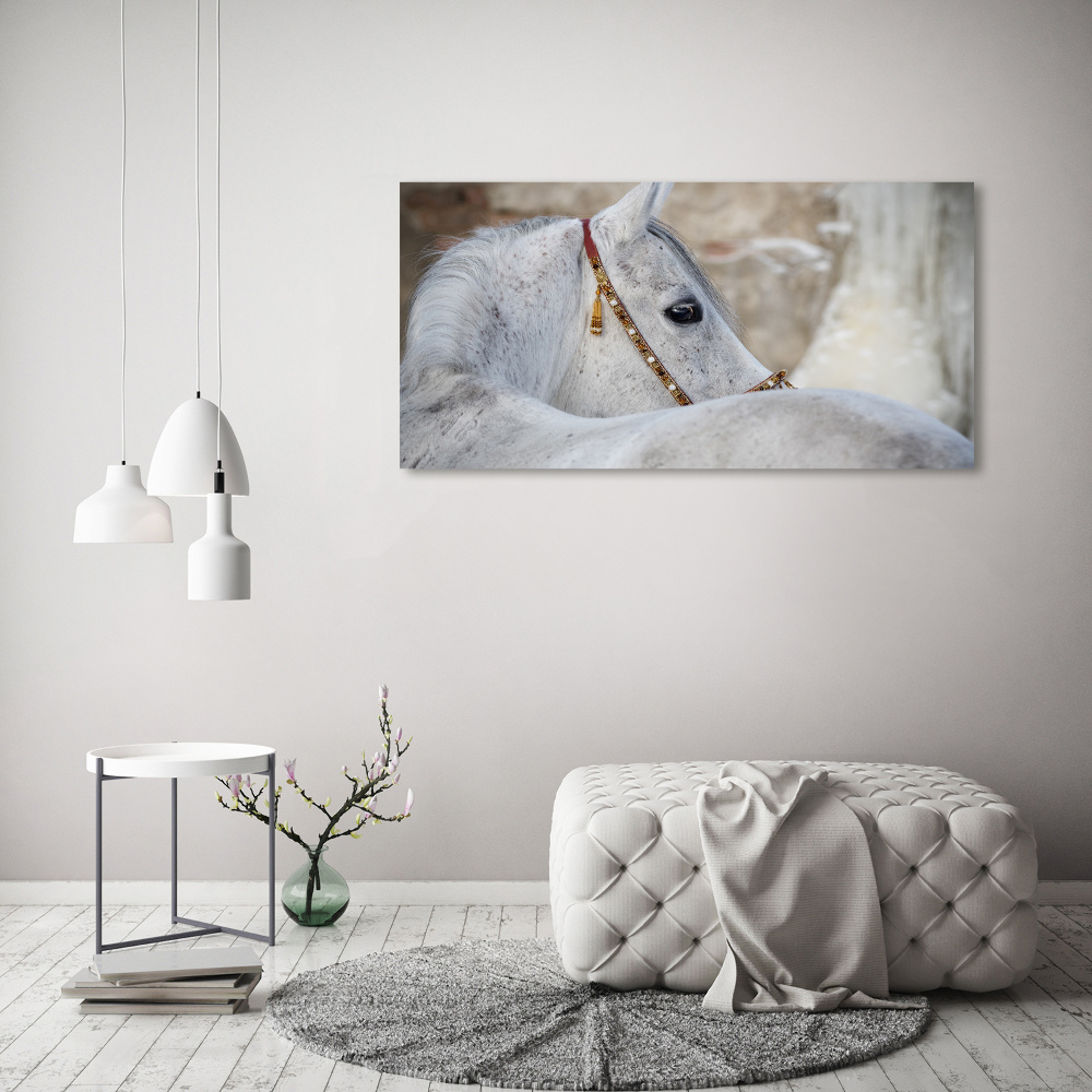 Tableau acrylique Cheval arabe blanc