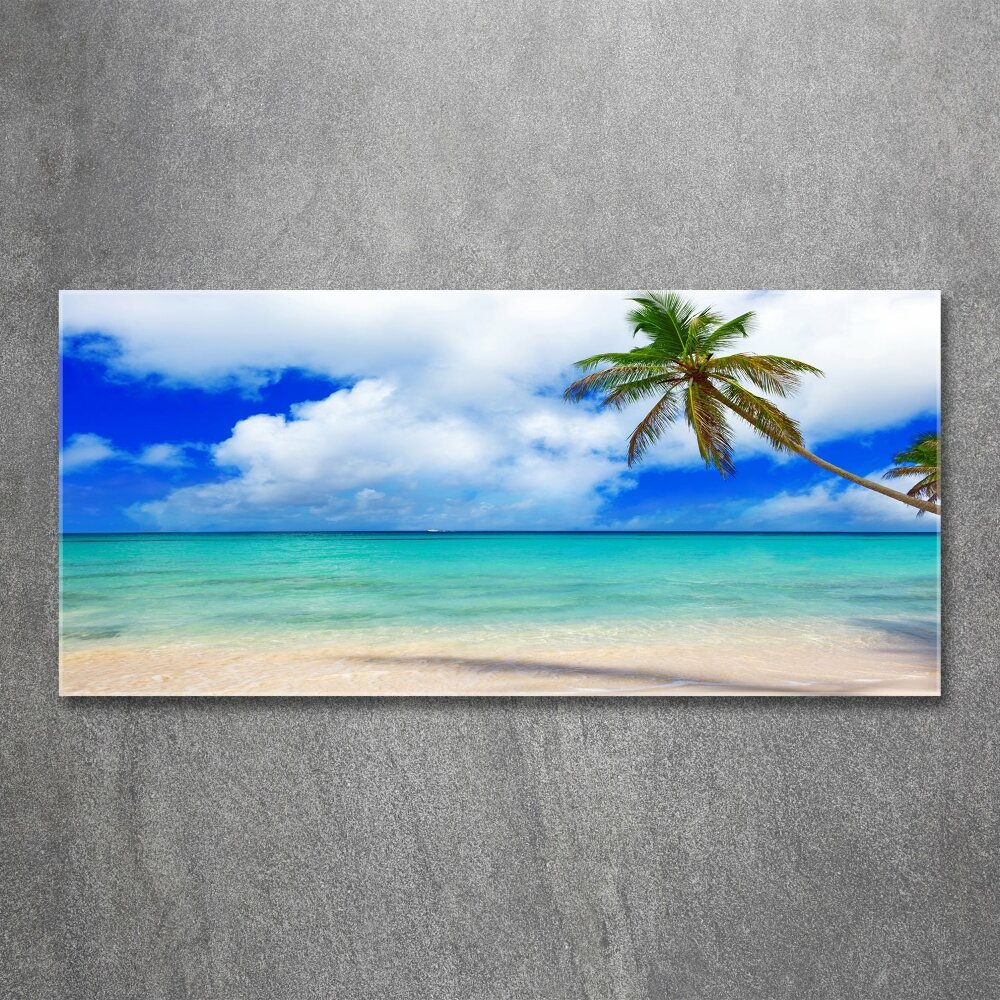 Tableau verre acrylique Plage des Caraïbes