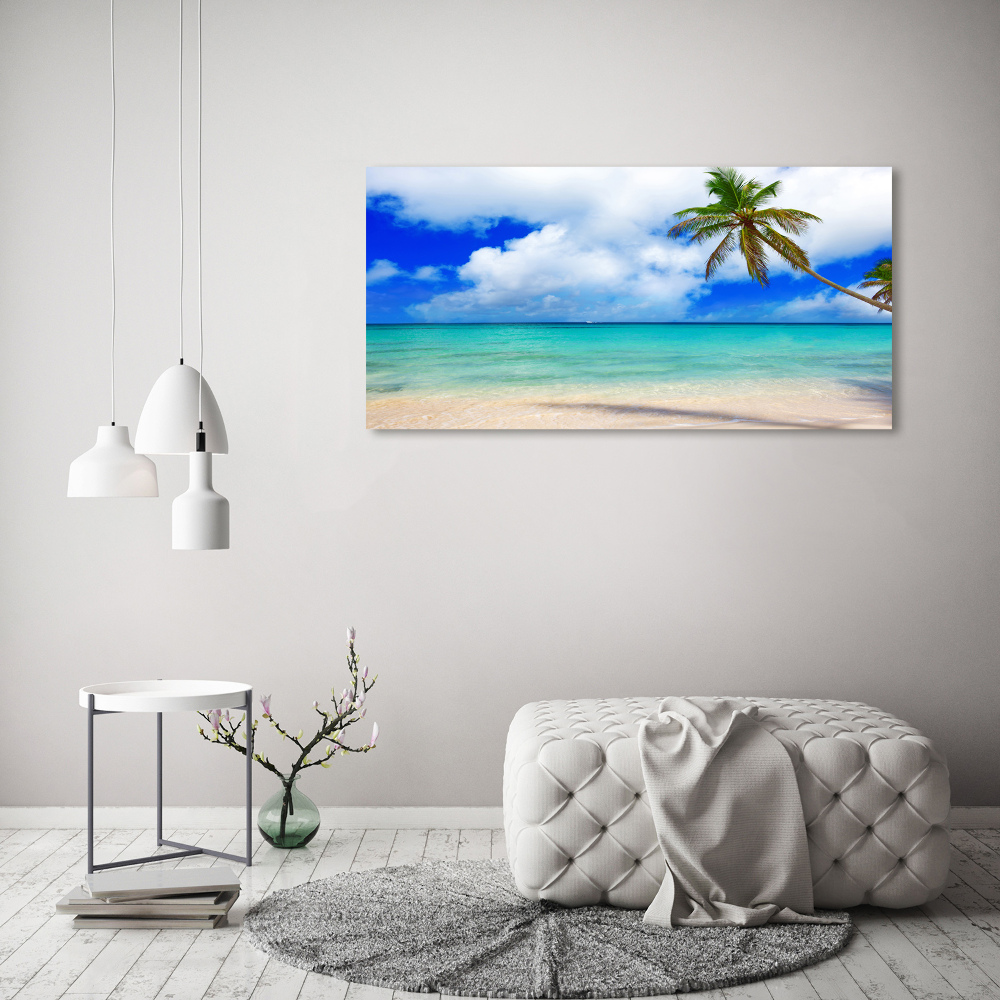 Tableau verre acrylique Plage des Caraïbes