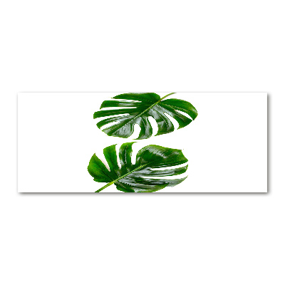 Tableau sur verre acrylique Monstera feuilles