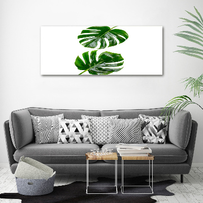 Tableau sur verre acrylique Monstera feuilles